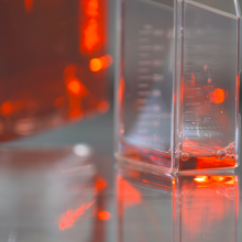 A nutrient solution in a cell culture bottle