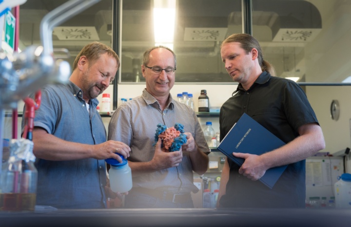 Die Professoren Albert Jeltsch, Roland Kontermann und Markus Morrison (v. l. n. r.) sind am Stuttgart Research Center Systems Biology der Komplexität der Tumorzelle auf der Spur.