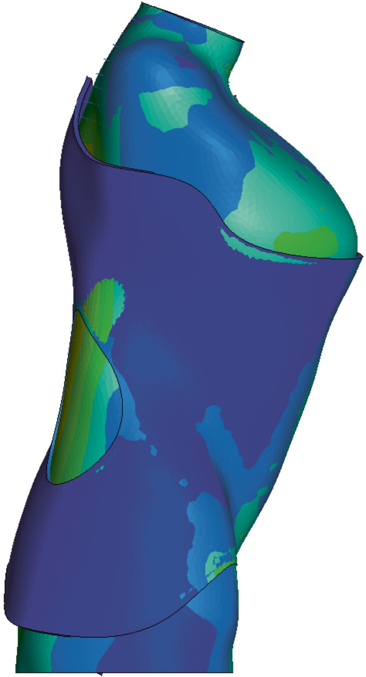 Simulation of an upper body wearing a corset