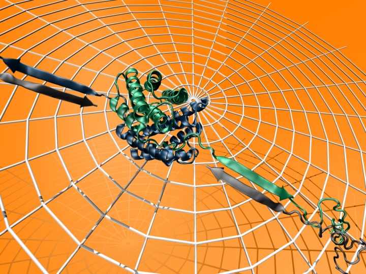 Das Modell eines Spinnennetzes, das zur Untersuchung der mechanischen Eigenschaften genutzt wird.