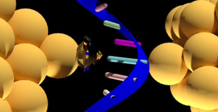 Nanoporen mit goldenen Elektroden und diamantenen Spitzen können möglicherweise den genetischen Code entschlüsseln.