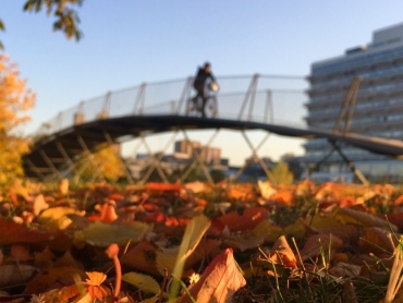 Eine Person fährt mit Fahrrad über eine Brücke auf dem Campus Vaihingen.