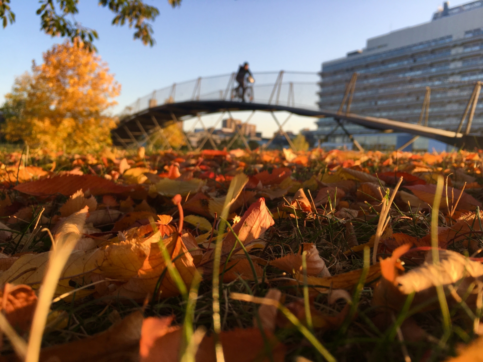 Eine Person fährt mit Fahrrad über eine Brücke auf dem Campus Vaihingen.