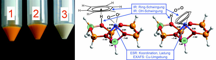 Links abzentrifugierte E. coli Zellen, die farbige Vorstufen von Astaxanthin bilden. Rechts zwei Szenarien der Adsorption von Benzol und Sauerstoff an katalytischen Kupfer- und Säurezentren eines Zeolithen