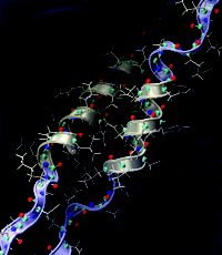 Proteinbausteine im Inneren einer Zelle