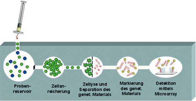 Kartuschen-System