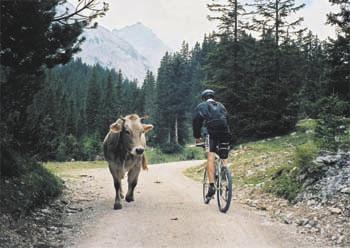 Das massenhafte Auftreten der Sporttouristen stört die Fauna und schädigt die Flora