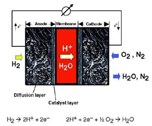 Membran-Elektroden-Einheit in einer Brennstoffzelle.