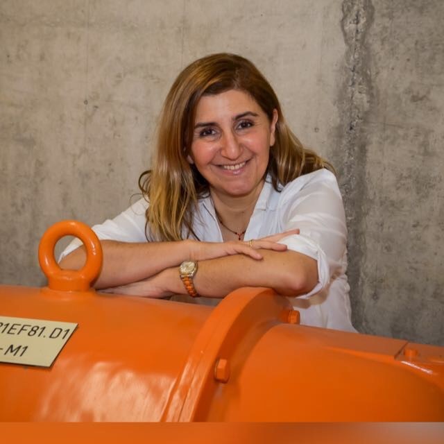 This picture shows Prof. Nejila Parspour