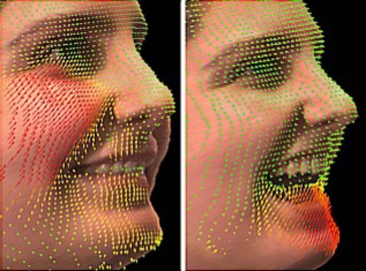 Facial Performance Capture