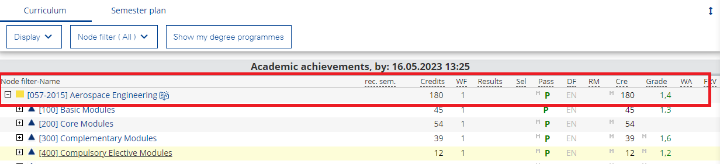 A green p must appear in the top line of the study program in the "My Study Program" application.