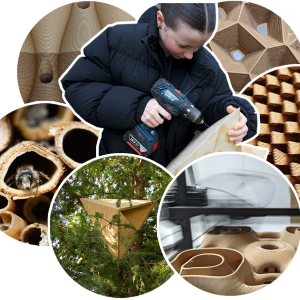 building an insect hotel with sustainable biomaterials