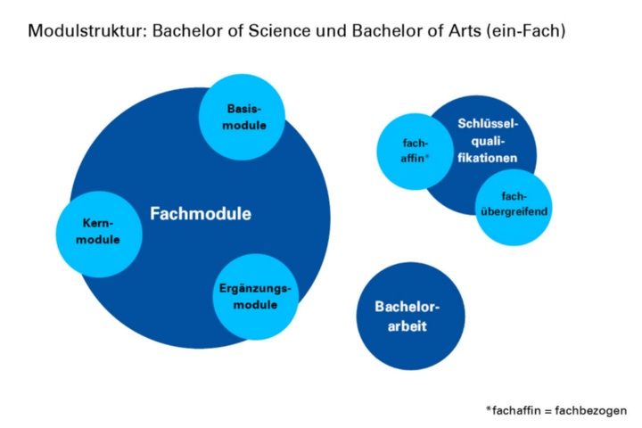 Modulstruktur von Bachelor of Science und dem Ein-Fach-Bachelor of Arts Modulstruktur von Bachelor of Science und dem Ein-Fach-Bachelor of Arts