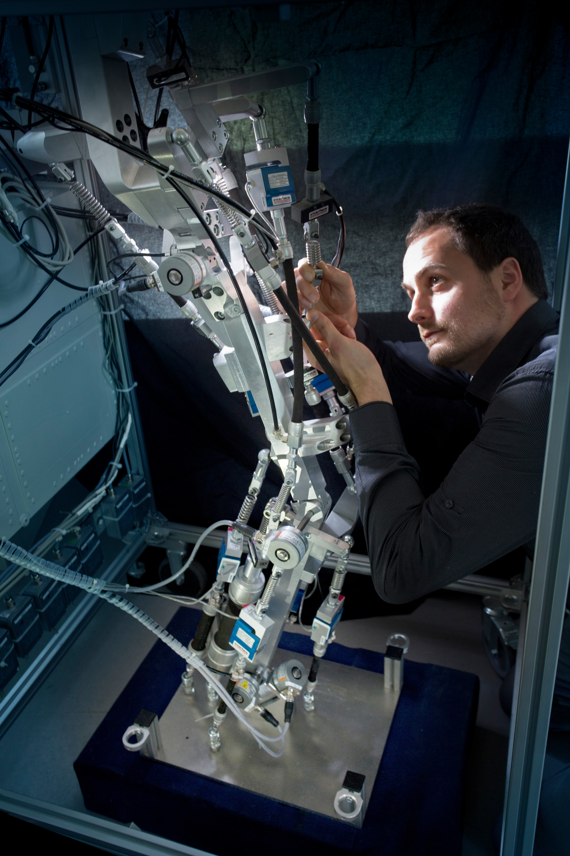 Bau eines bio-inspirierten Roboters mit künstlichen Muskeln.