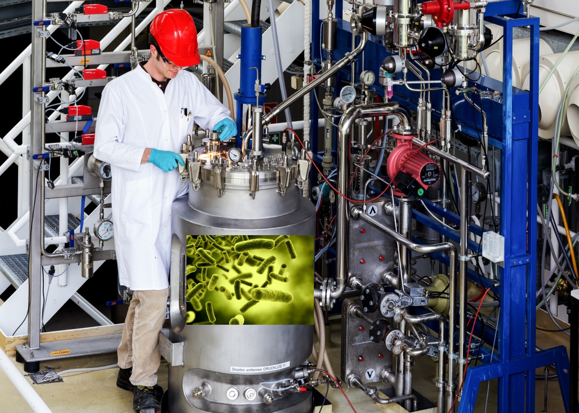 wie z.b. bei der Herstellung von Pflanzen in Bier, Schimmelpilzen in Antibiotika,