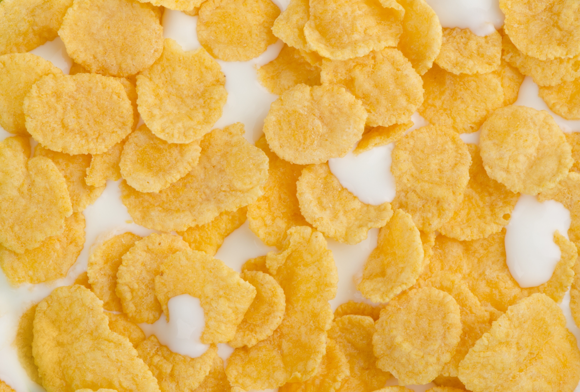 Ohne Chemie- und Bioingenieurwesen gäbe es keine fettfreie Handcreme, keine Cornflakes, kein Insulin - ja noch nicht einmal sauberes Wasser aus dem Hahn.