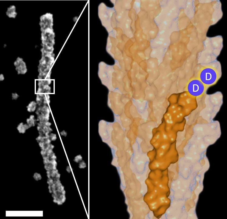 Nanowires