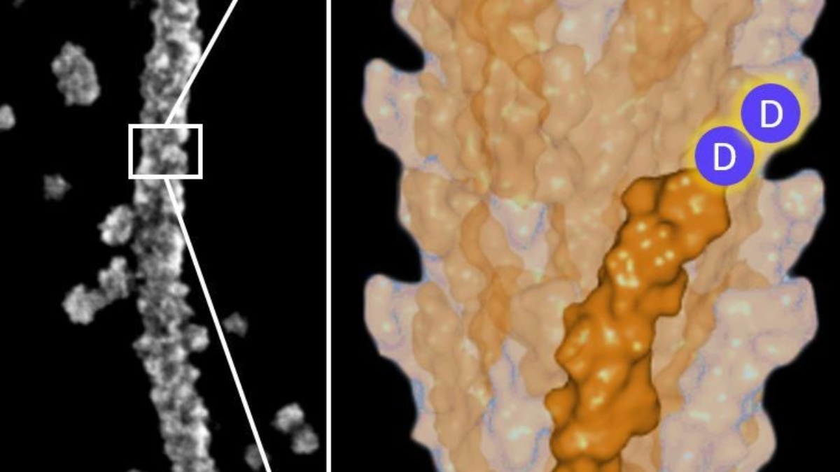 Nanowires