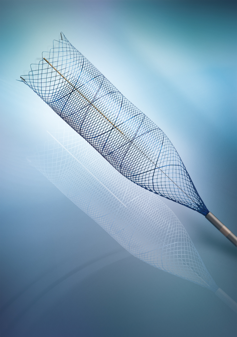 Specialization in Biomedical Engineering