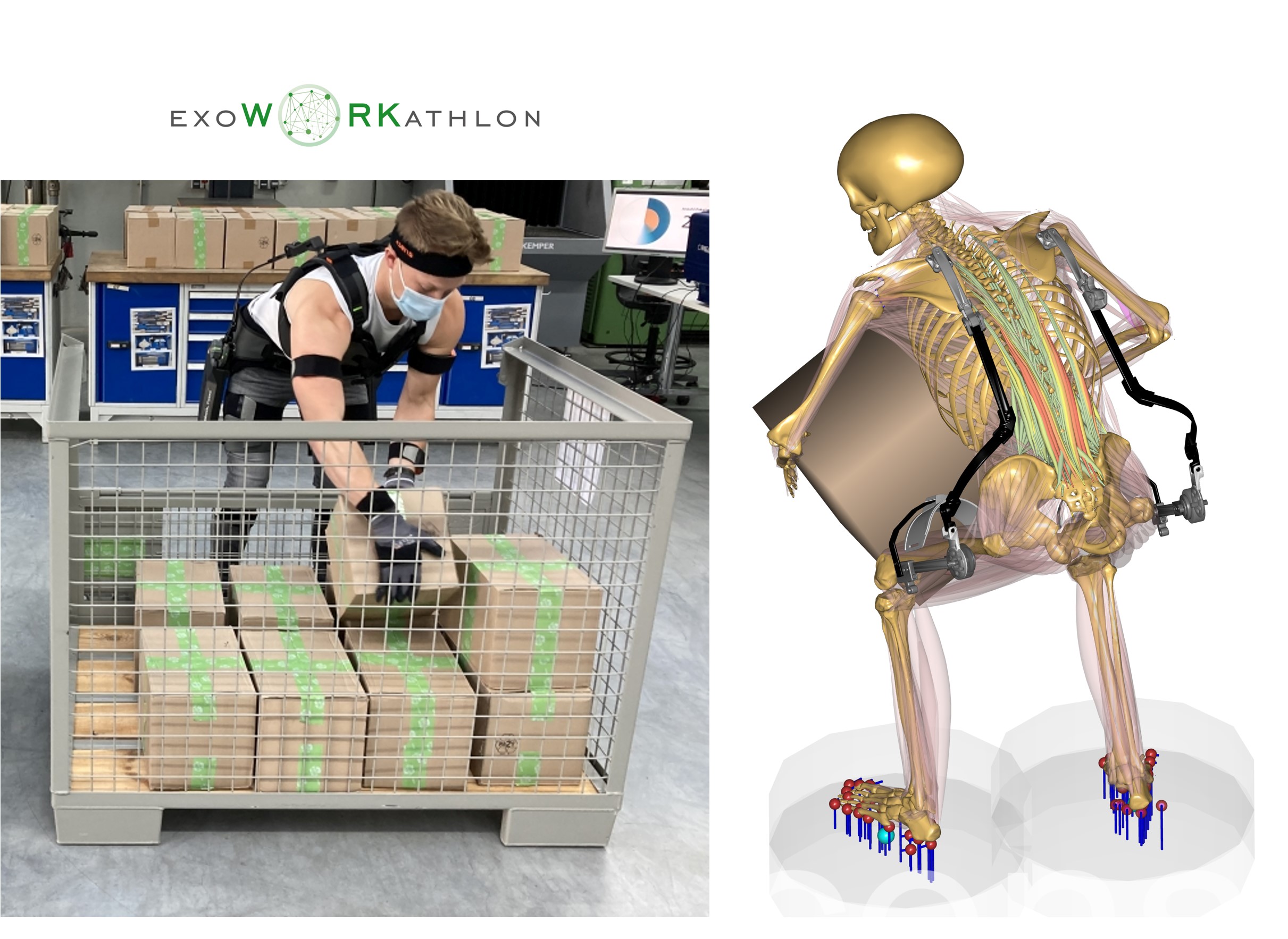 Rückenunterstützendes Exoskelett bei einer Lastenhandhabung im Exoworkathlon® Logistikparcours mit muskuloskelettalem Modell zur biomechanischen Wirksamkeitsanalyse