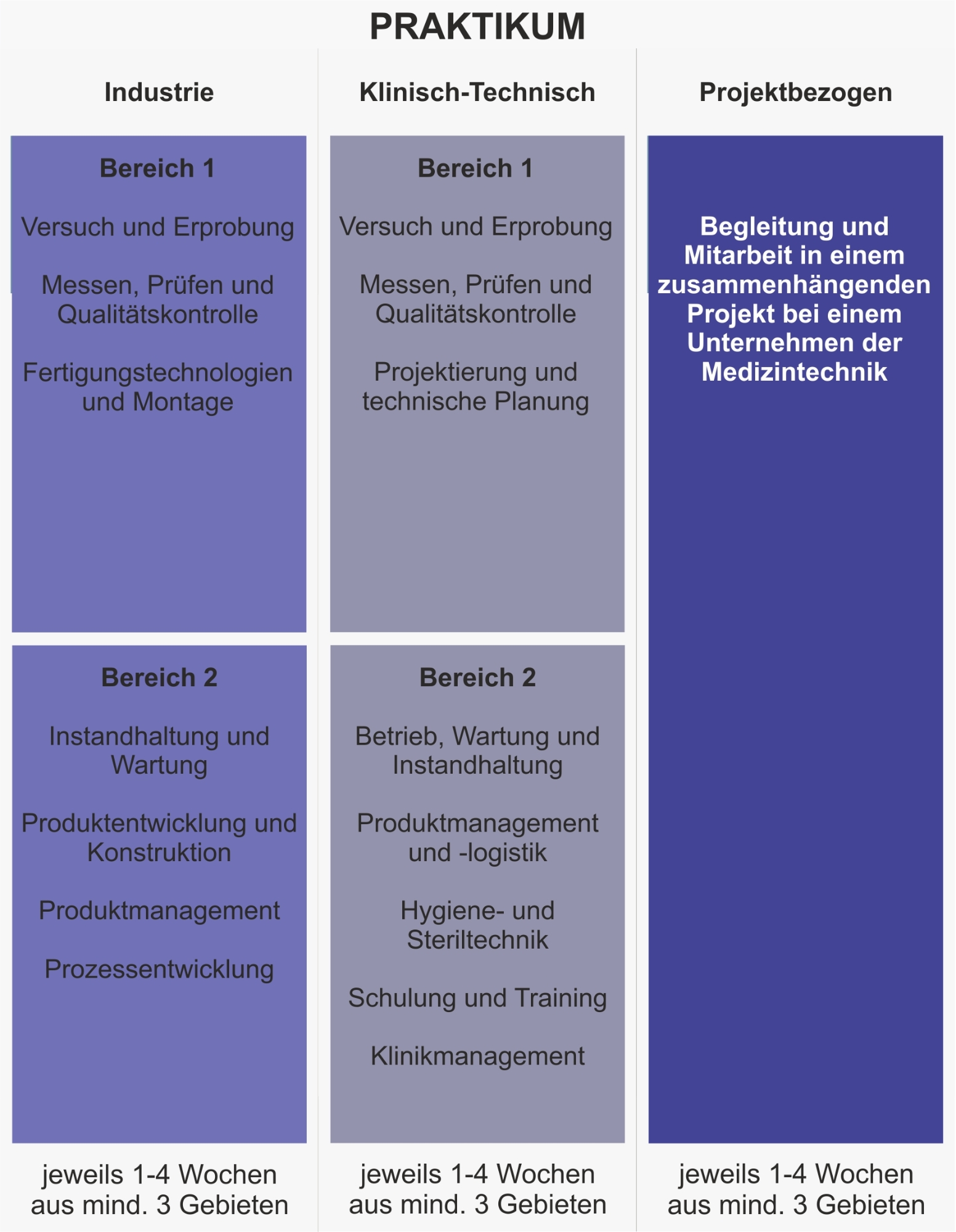 Grafik des industrie- oder klinisch-technischen Praktikums im Studiengang Medizintechnik M.Sc.