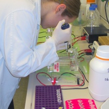 Eine Studentin nimmt im Labor eine Probe.. Foto: