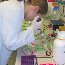 Eine Studentin steht vor einem Mikroskop und füllt Proben ab. 
