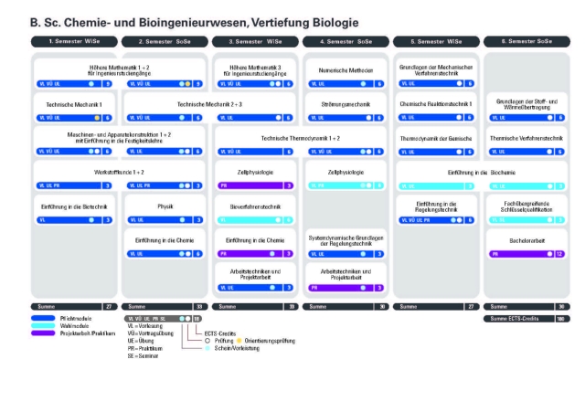 <p><strong>Vertiefung Biologie:<br /></strong>- Bioverfahrenstechnik (6 LP)<br />- Zellphysiologie (9 LP)<br />- Einführung in die Biochemie (6 LP)<strong><br /></strong></p>. .