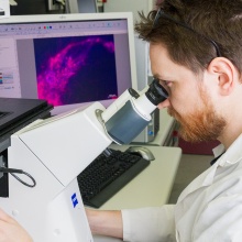 Ein Studierender schaut in ein Mikroskop.