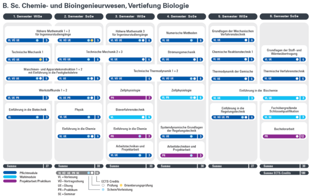 <p><strong>Vertiefung Biologie:<br /></strong>- Bioverfahrenstechnik (6 LP)<br />- Zellphysiologie (9 LP)<br />- Einführung in die Biochemie (6 LP)<strong><br /></strong></p>. .
