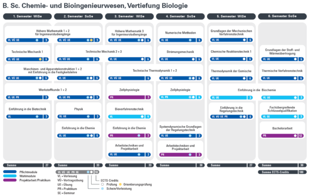 <p><strong>Vertiefung Biologie:<br /></strong>- Bioverfahrenstechnik (6 LP)<br />- Zellphysiologie (9 LP)<br />- Einführung in die Biochemie (6 LP)<strong><br /></strong></p>. . 