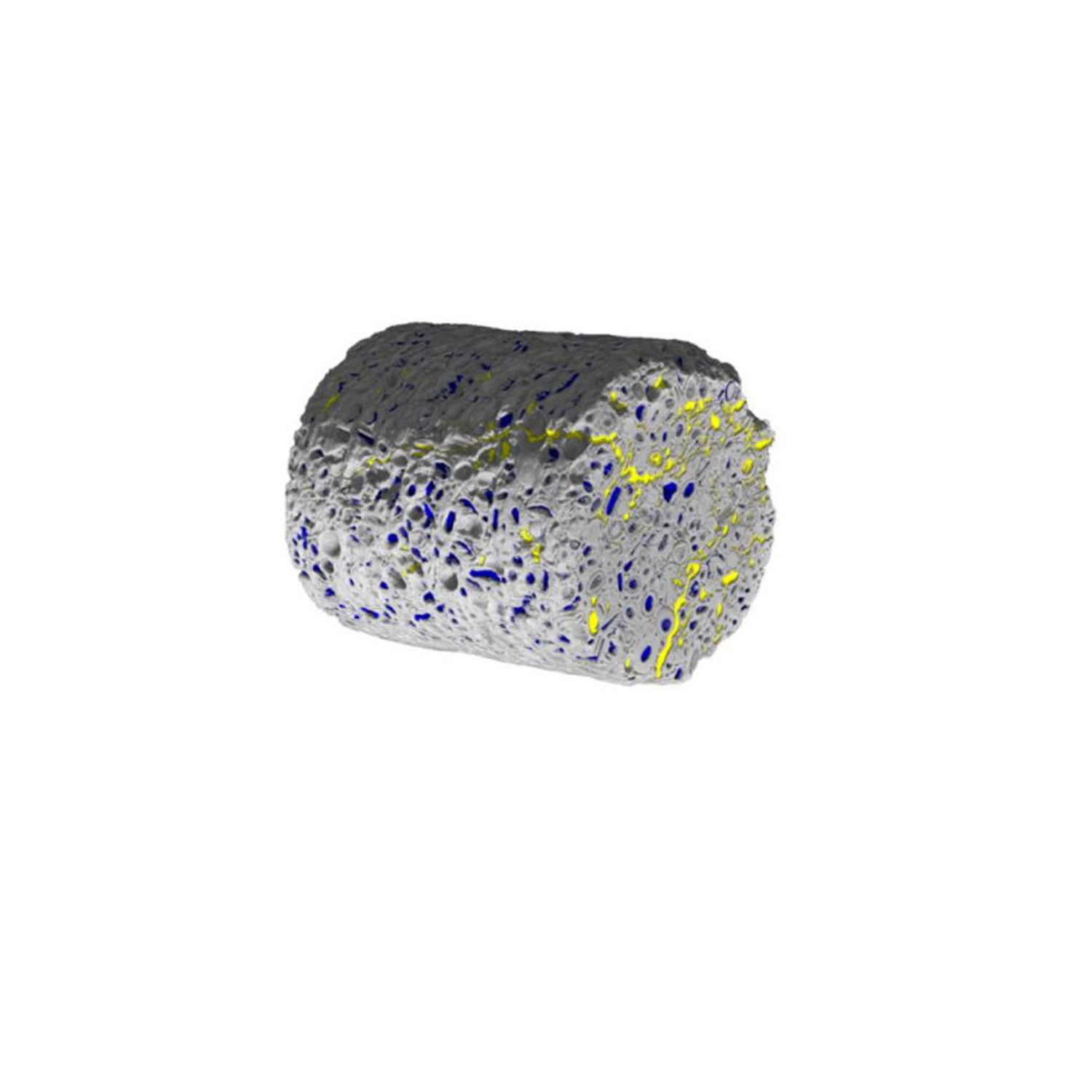 Microcomputer tomography recording of a porous media with two fluid phases. 