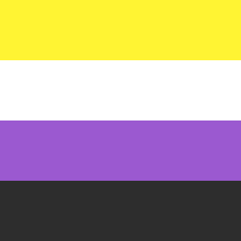 Die "Non-binary" Flagge von Kye Rowan. Sie besteht aus "Gelb" (repräsentiert das jenseits der Binarität), "Weiss" (steht für viele/alle Geschlechter), "Violett" (repräsentiert ein Mix aus weiblich und männlich), und "schwarz" (steht für eine Abwesenheit von Gender).