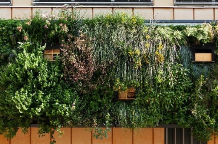 Eine grün bepflanzte Gebäudefassade. 