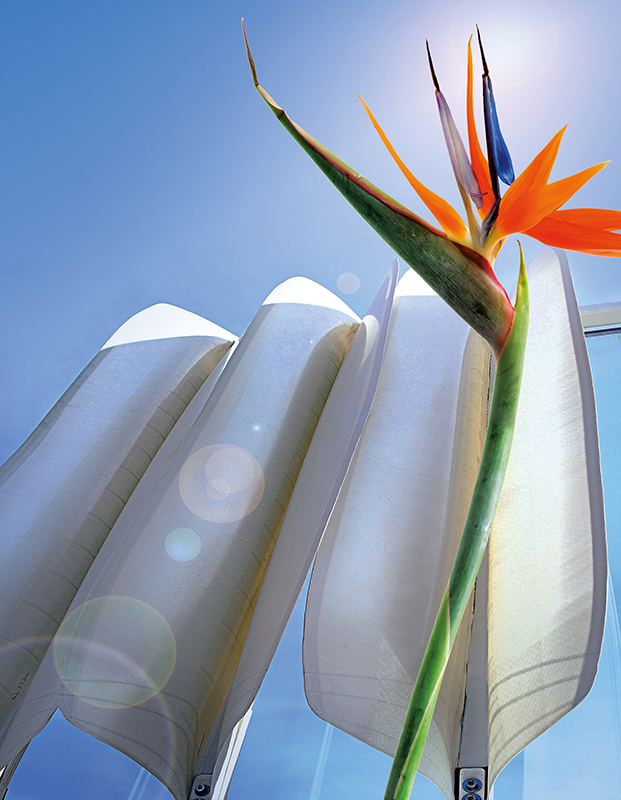 Beispiel für die erfolgreiche Entwicklung eines bionischen Produktes: Flectofin®, ein neuartiges Fassaden-Verschattungssystem. Als Ideengeber diente der Öffnungsmechanismus der violetten Landestange der Blüte der Paradiesvogelblume (Strelitzia reginae).