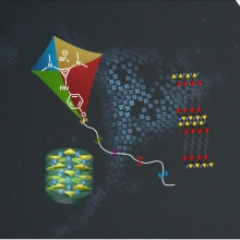Molekularer Aufbau der drachenförmigen Aminocyclopropenium-Flüssigkristalle, die sich zu röhren- oder lamellenförmigen Mesophasen organisieren. Im Hintergrund ist eine typische Polarisationsmikroskopische Aufnahme sichtbar.