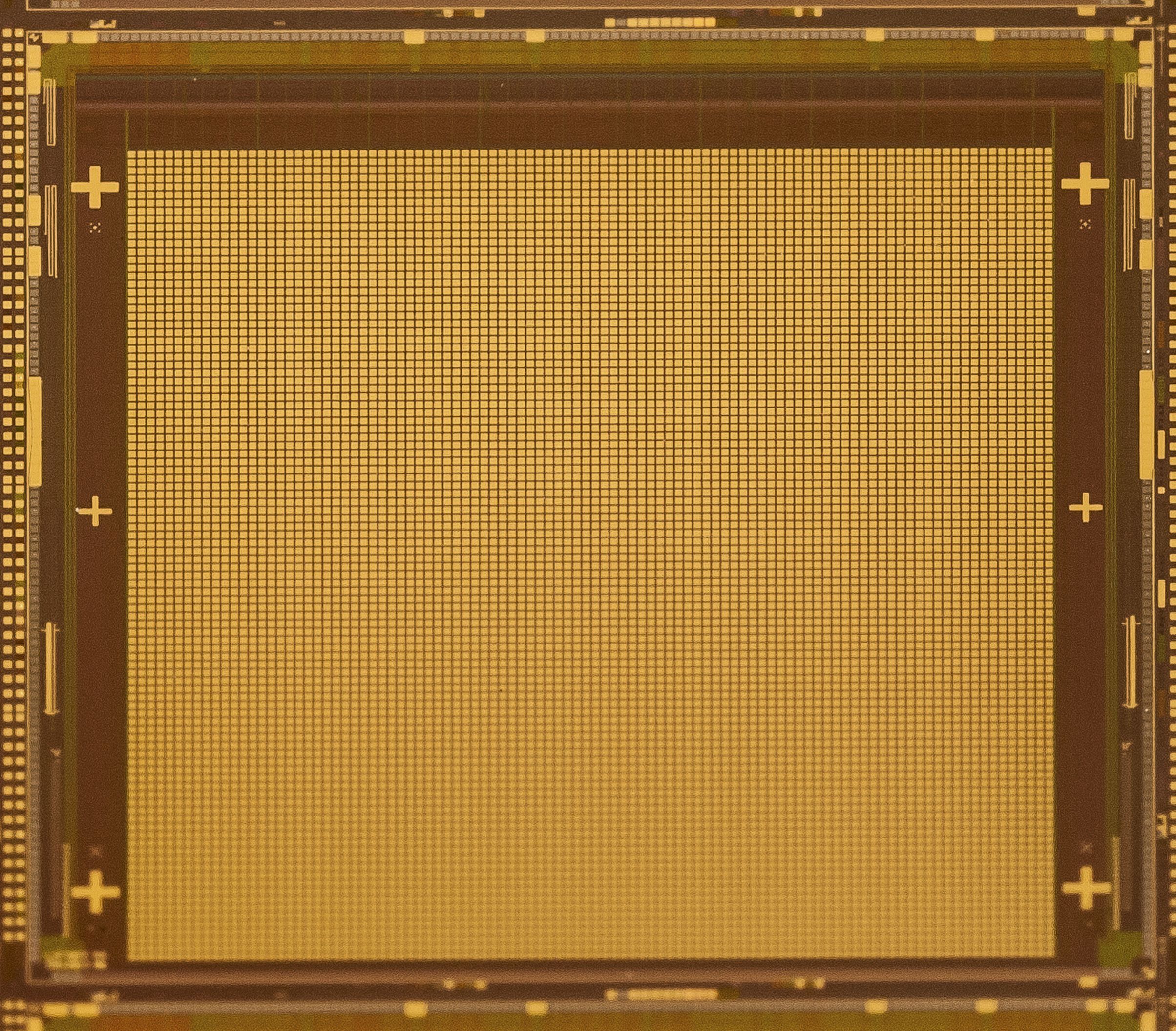 Detail des Multielektroden-Chips