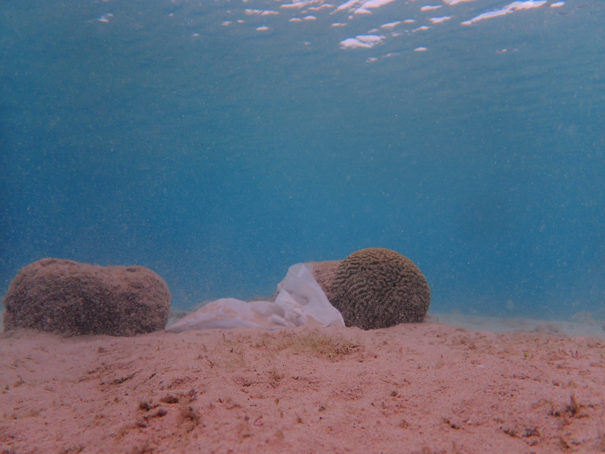 Plastik zwischen Korallen auf dem Meeresgrund vor Curacao.