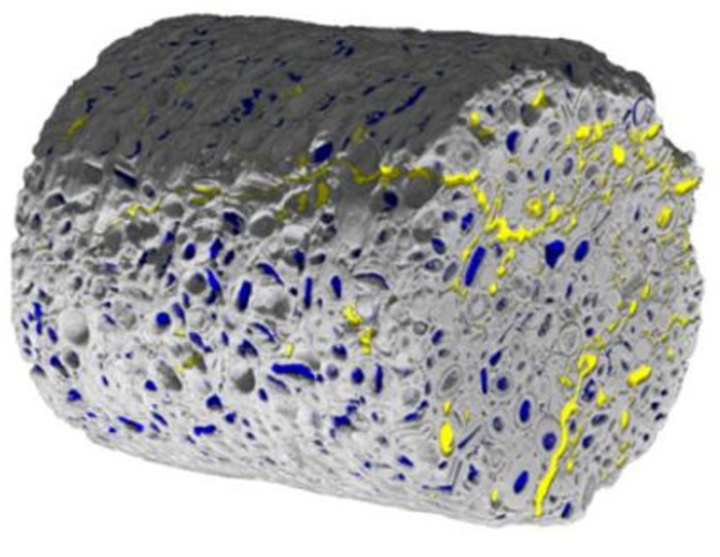 Microcomputer tomography recording of a porous media with two fluid phases. 