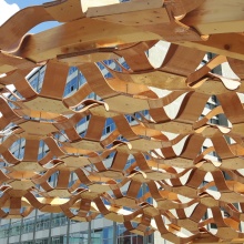 The research pavilion of the BioMat group led by Jun.-Prof. Hanaa Dahy, made of curved wooden and biocomposite elements. In the future, expertise like this is to become part of a research network across the university.