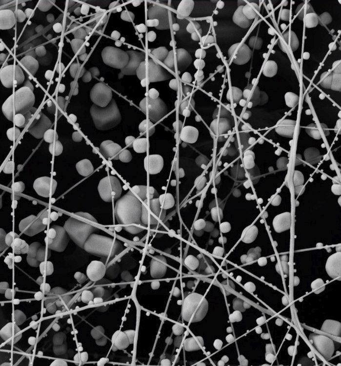 Deposits of NaCl2 in a pure nanofiber structure.