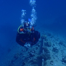 Divers of the Scientific Diving Group of the University of Stuttgart at the wreck of the SS Hamada.
