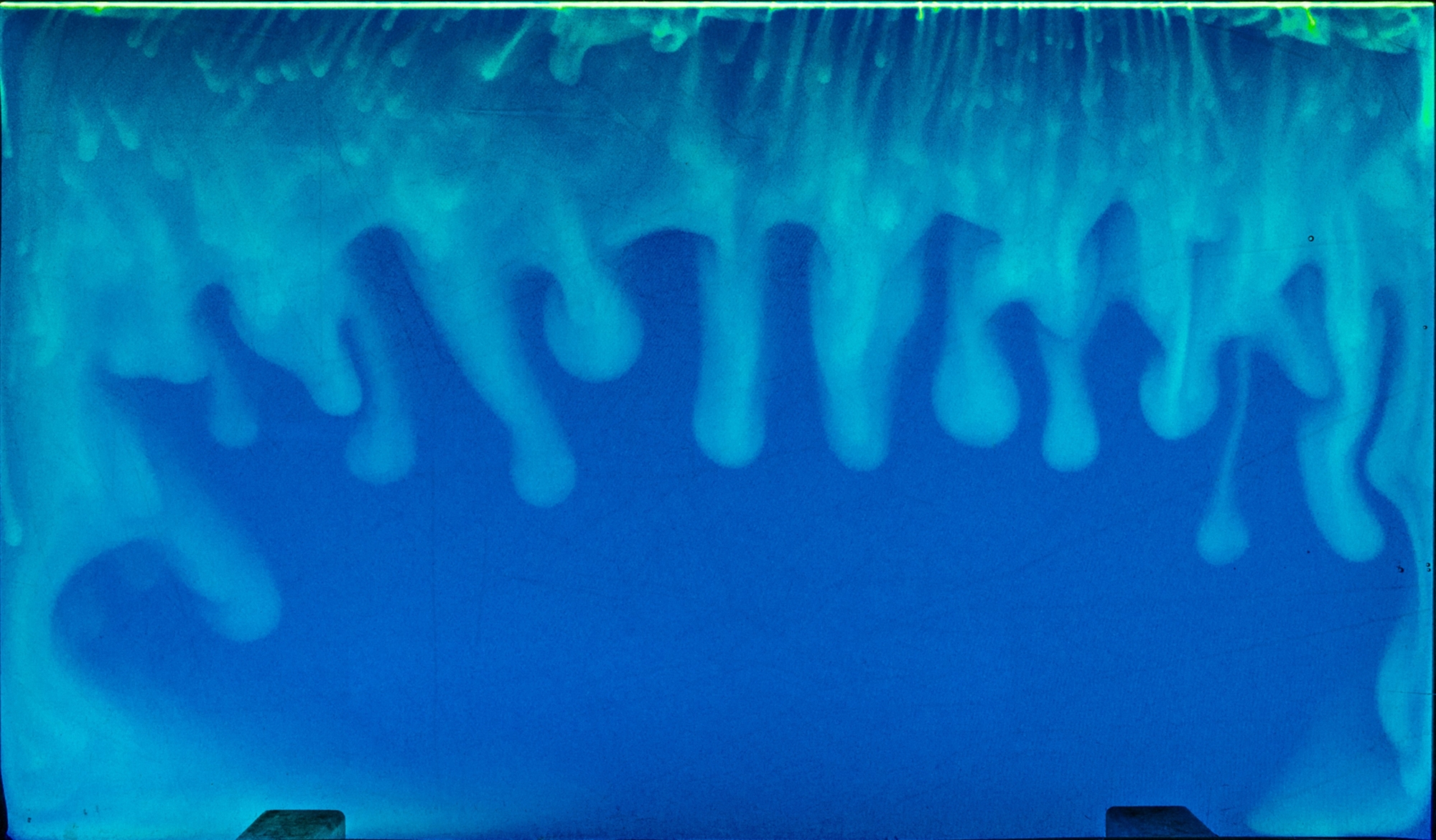 Finger-like dispersions of dissolved CO2 in the water at the test facility.