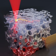High-precision 3D printing can be used to create complex carrier structures (gray) and populate them with cells (red). The microstructure shown here is about as wide as a human hair. This technique will be used to replicate tumor tissues in great detail.