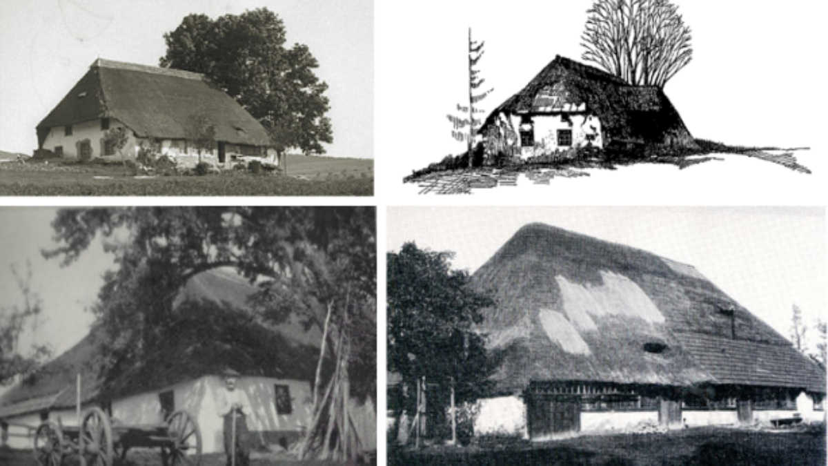 Archive pictures of houses with house trees.
