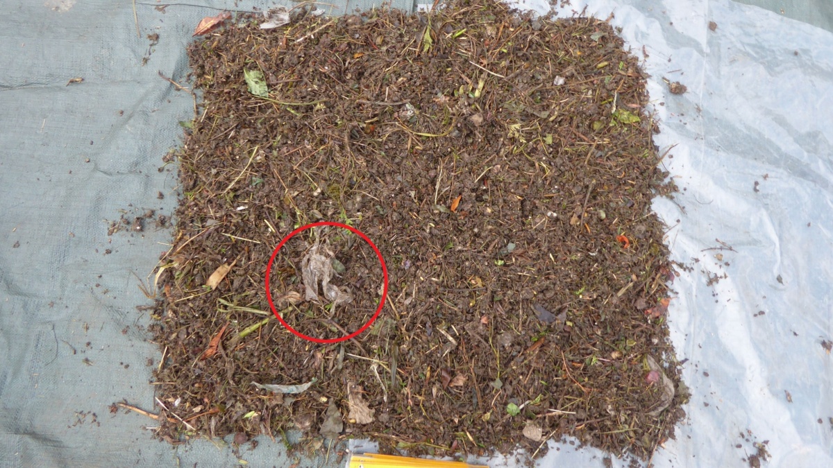 In the compost soil you can see individual impurities, including pieces of foil that could not be decomposed.
