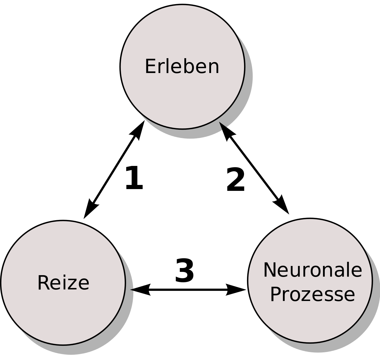 Grafische Darstellung