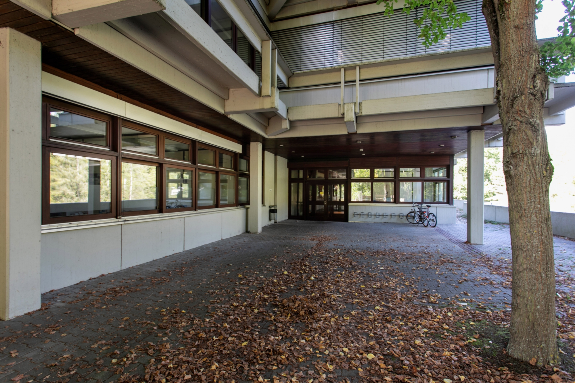 Main Entrance bandtäle 2