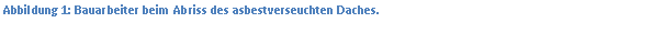 Textfeld: Abbildung 8: Bauarbeiter beim Abriss des asbestverseuchten Daches.