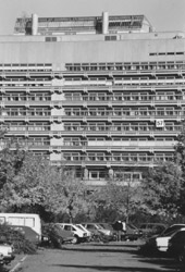 Botanische Versuchsstation der Abt. Molekularbiologie und Virologie der Pflanzen (1)